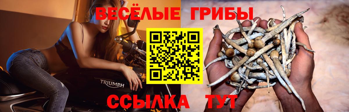 Псилоцибиновые грибы Magic Shrooms  купить закладку  Кирово-Чепецк  Вход с VPN 