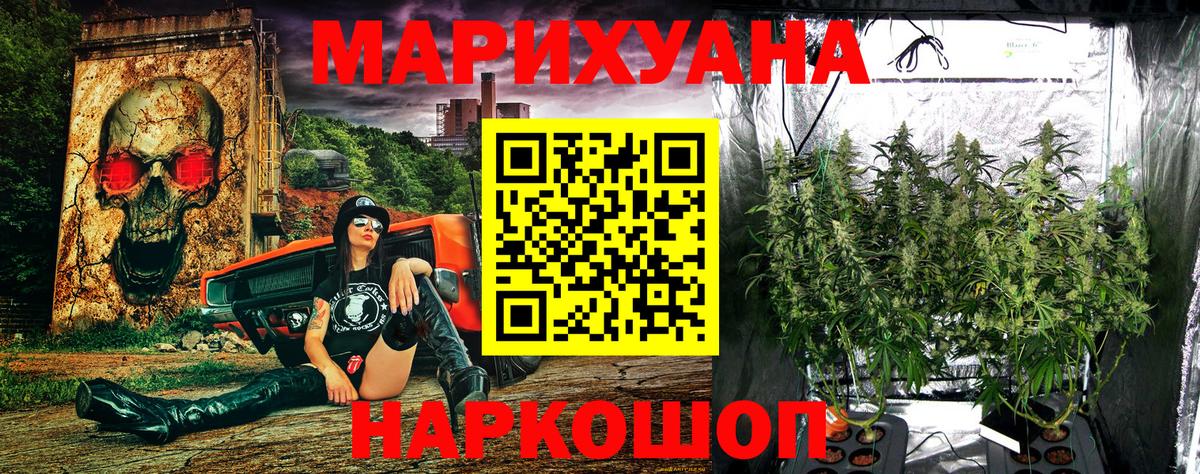 Каннабис OG Kush Кирово-Чепецк